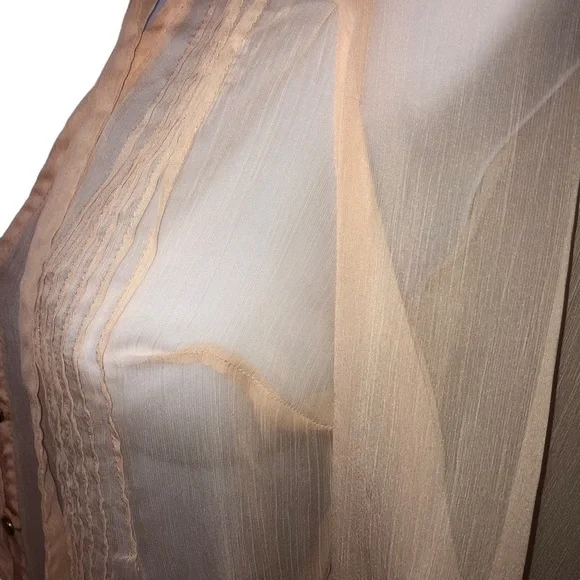 Blush Gauzy Chiffon Sheer Tunic Blouse with Buttons and Pleats​​​​ - Picture 6 of 16